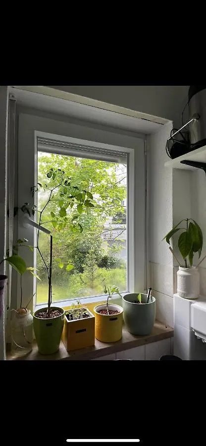 דירות מינכן Schwabing Cute Apartament